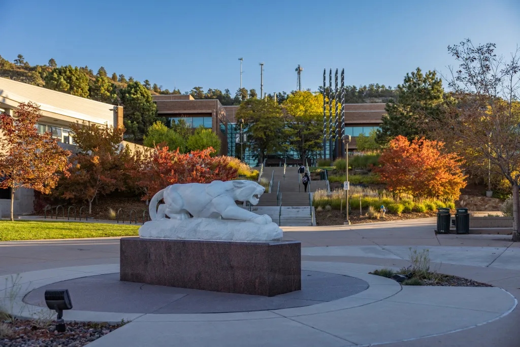 Mountain Lion Statue on UCCS Campus